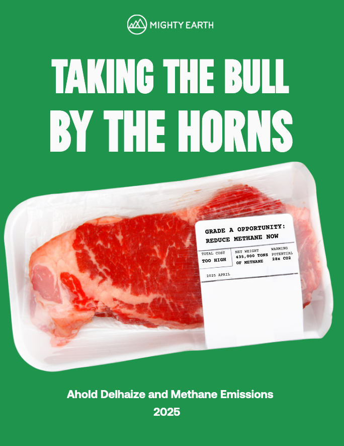 Report: Taking the Bull By the Horns