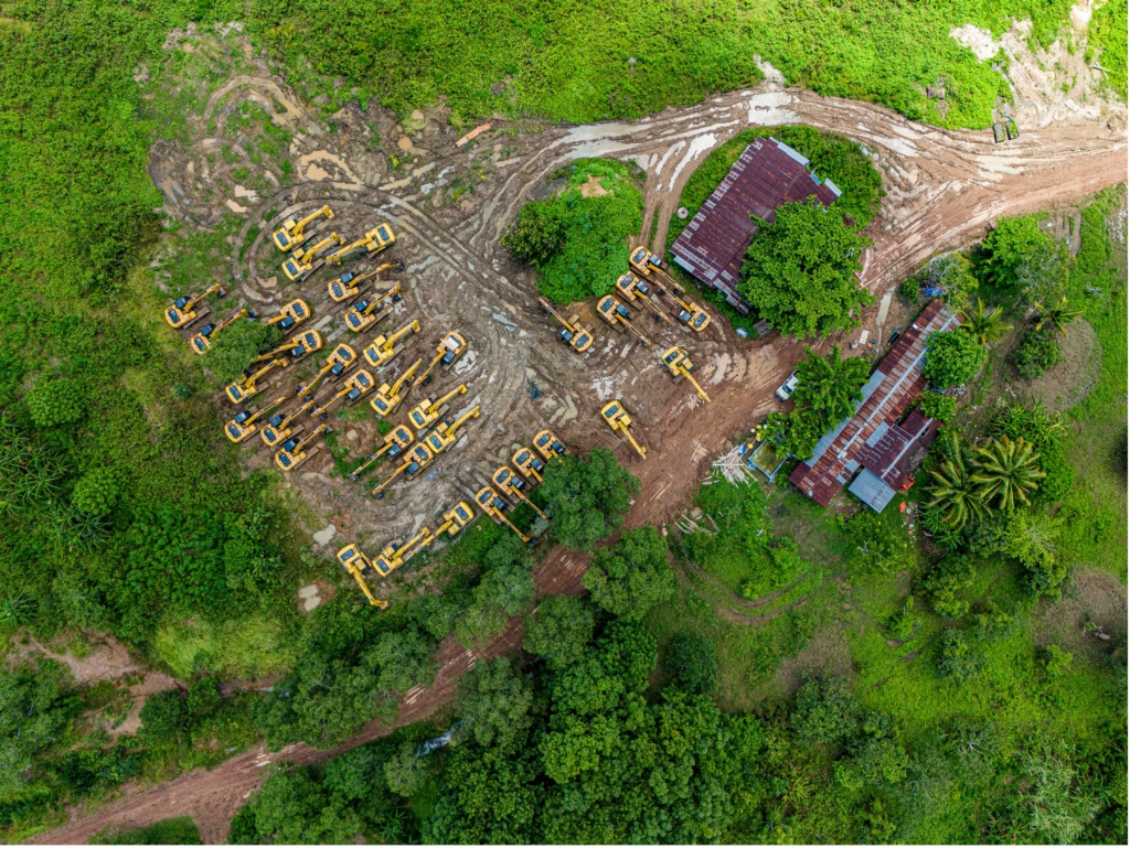 Indonesia Announces End to “World’s Largest Deforestation Project” - Mighty Earth