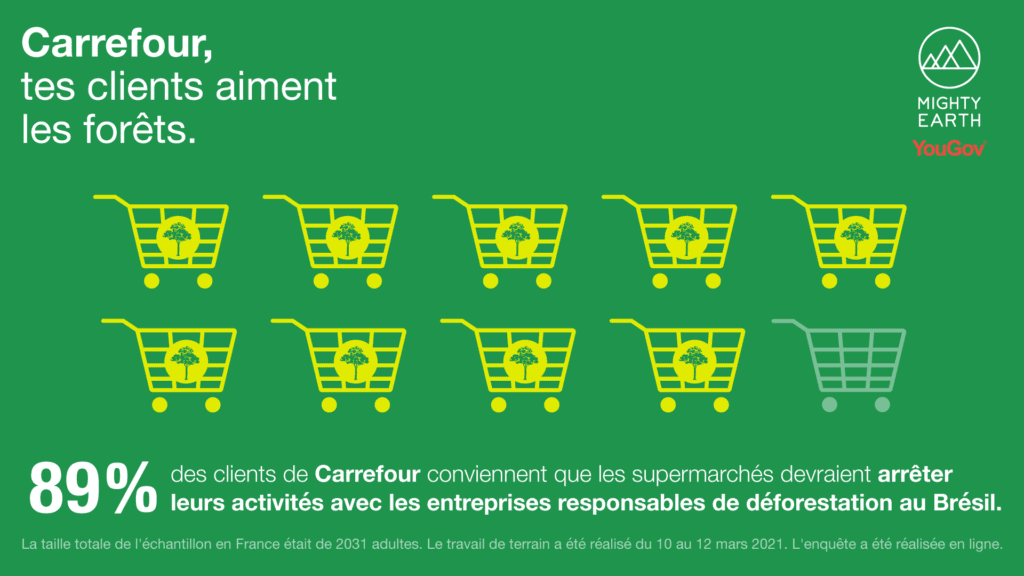 French- Sondage : Neuf clients de Carrefour sur dix conviennent que les supermarchés ne devraient pas faire affaire avec les déforesteurs
