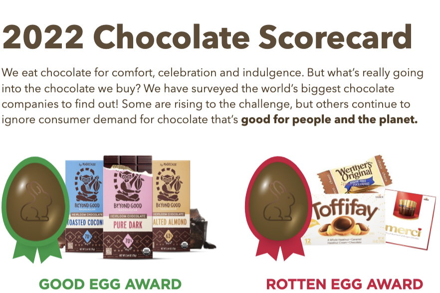 Best chocolate in the world in 2022 - Chocolate Awards